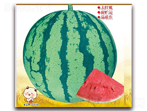 㶼̖-ϷN-rI