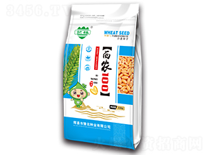 西農(nóng)100（11kg）-小麥種子-豫北種業(yè)