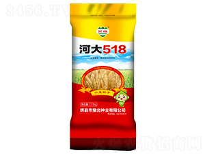 河大518-小麥種子-豫北種業(yè)