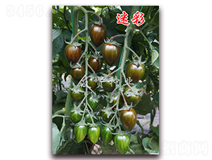Բ-ɫѷN-tNI