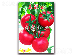 663-ɫѷN-tNI