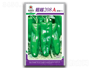 超越208A-辣椒種子-高科種業