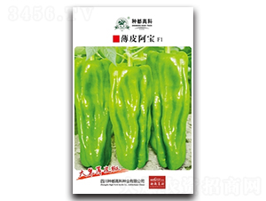 薄皮阿寶-辣椒種子-高科種業