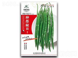種都椒Ⅲ-辣椒種子-高科種業
