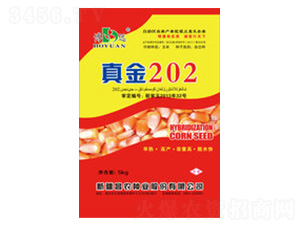 202-rNI
