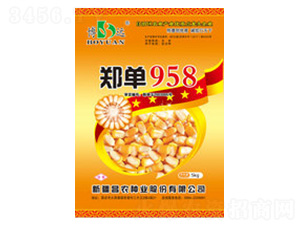 鄭單958-昌農種業