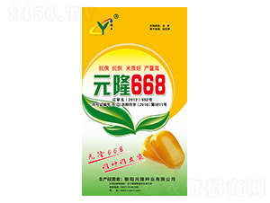 元隆668種子-元隆種業