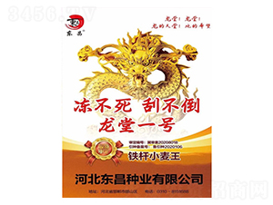 龍堂一號-東昌
