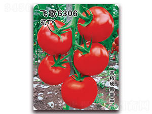 w6306-ѷN-wrI
