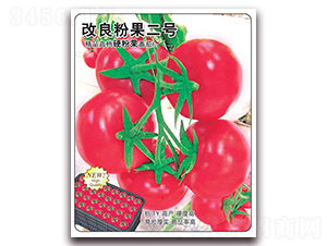 改良粉果二號(hào)-番茄種子-飛歌農(nóng)業(yè)