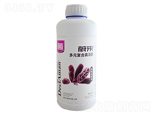 多元復合高活菌-蔚來-德西揚農