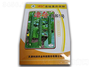 津冬育和1號(hào)-黃瓜種子-凌廣農(nóng)業(yè)