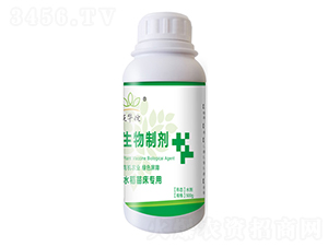 水稻苗床專用生物制劑-沃華佗-漢美農業