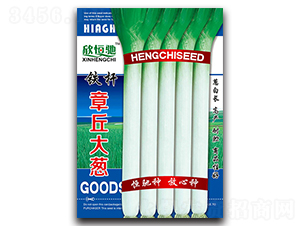 鐵桿章丘大蔥-大蔥種子-恒馳種業