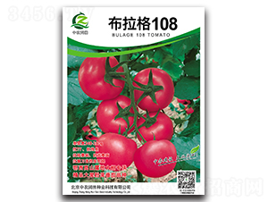 布拉格108-番茄種子-中農潤田