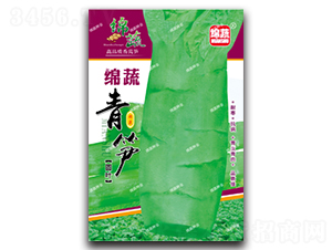 綿蔬青筍-萵筍種子-綿蔬種業