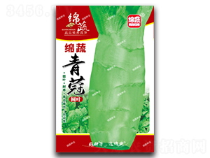 綿蔬青蒄-萵筍種子-綿蔬種業