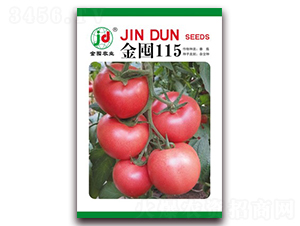 金囤115-番茄種子-金囤農業