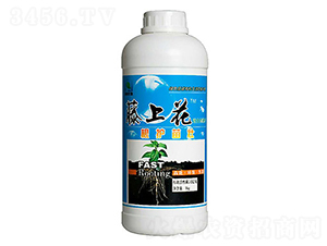 1kg微生物菌劑-藤上花-恒有生物
