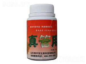 真管用-施禾寶