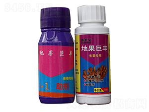 地果巨豐（組合）-施禾寶