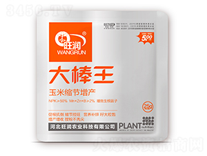 大棒王（玉米縮節增產）-旺潤