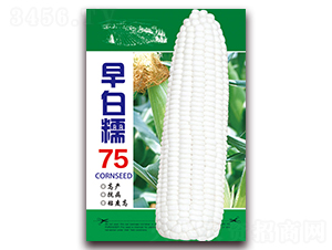 Ŵ75-Ŵ׷N-ǷNI