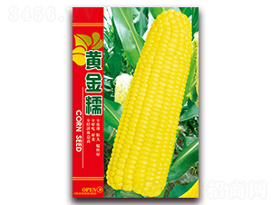 SŴ-Ŵ׷N-ǷNI