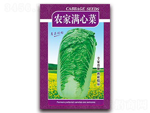 農家滿心菜-白菜種子-天星種業