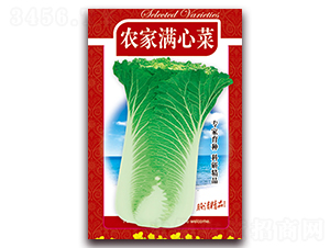 農家滿心菜-精品白菜種子-天星種業