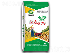 西農579（14kg）-小麥種子-豫鑫博