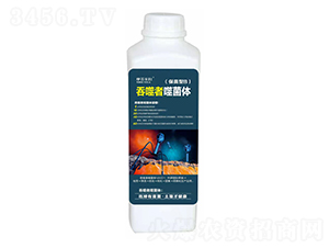 保苗型B-吞噬者噬菌體-摩蘇米拉