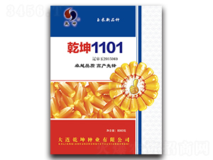 Ǭ1101-׷N-ǬNI