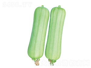 ̖-zϷN-