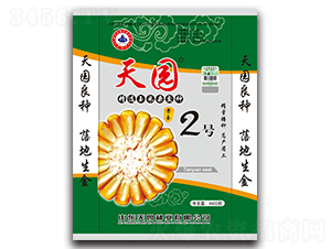 天園2號-玉米種子-天園種業