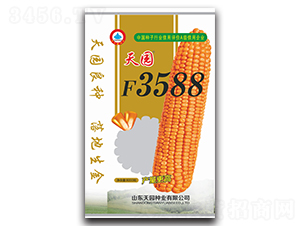 天園F3588-玉米種子-天園種業