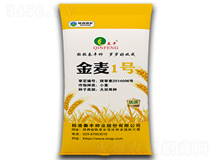 金麥1號-小麥種子