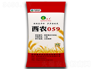 西農059-小麥種子