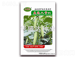 盛達八號F1-黃瓜種子-華盛達