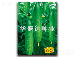 盛達2號-黃瓜種子-華盛達