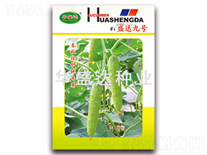 F1盛達九號-黃瓜種子-華盛達