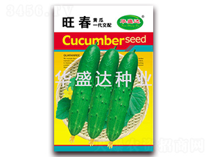 旺春-黃瓜種子-華盛達