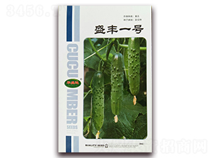 盛豐一號-黃瓜種子-華盛達