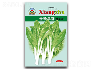 世珍早冠-菜苔種子-湘蔬種業