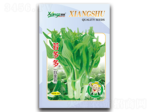 苔多多-菜苔種子-湘蔬種業(yè)