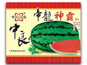 帝龍神霸-西瓜種子-三優(yōu)高科