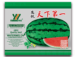 高抗天下第一-西瓜種子-三優高科