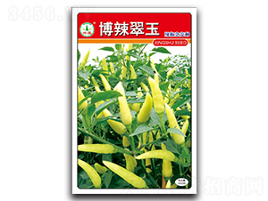 博辣翠玉-辣椒種子-興蔬種業