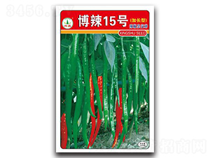博辣15號-辣椒種子-興蔬種業