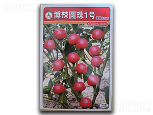 博辣圓珠1號-辣椒種子-興蔬種業
